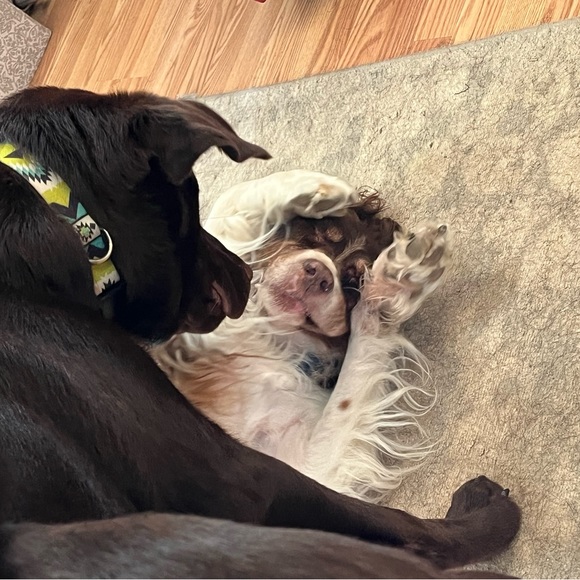 Meet your Posher, Jeanie - Picture 16 of 16